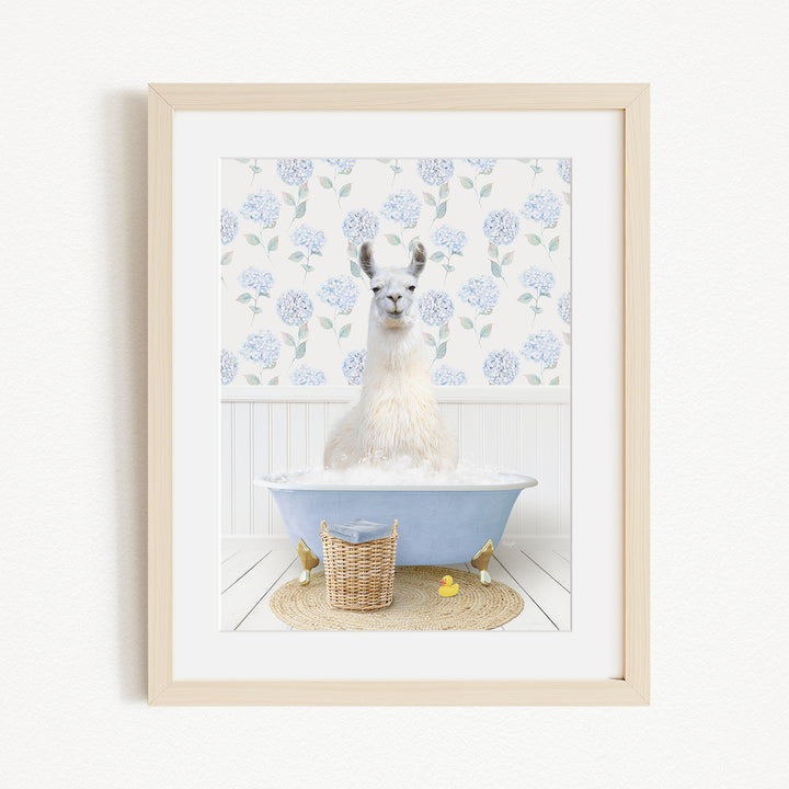 A white llama sitting in a blue bathtub filled with bubbles, surrounded by a floral patterned wall and a basket of rubber ducks.