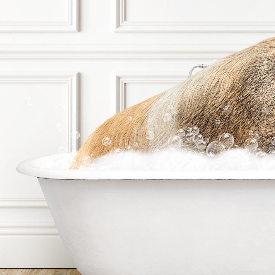 a dog is taking a bath in a bathtub