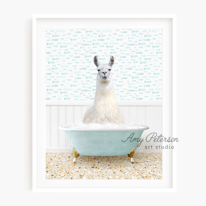 a llama in a bathtub with a blue background