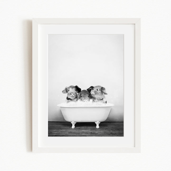 A black and white photograph of three small dogs sitting in a white bathtub, with their heads submerged in the water.