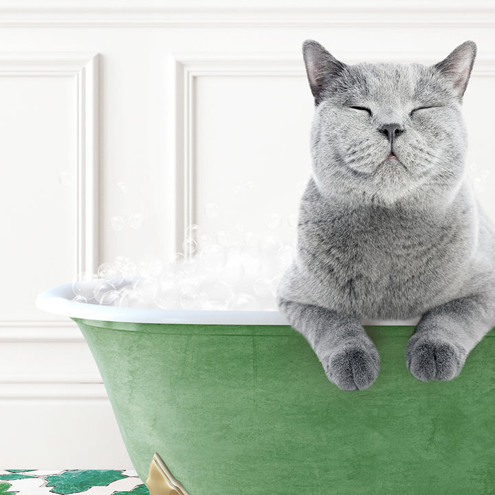 a gray cat sitting in a green bath tub