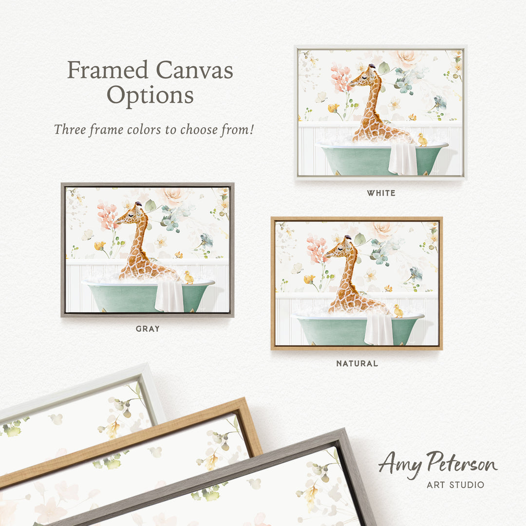 The image is a framed canvas with a giraffe sitting in a bathtub, surrounded by flowers and birds. There are three frame options available, each with a different color: white, gray, and natural. The text indicates that the canvas is available in three different frame colors, and the artist's name, Amy Peterson, is mentioned at the bottom of the image.