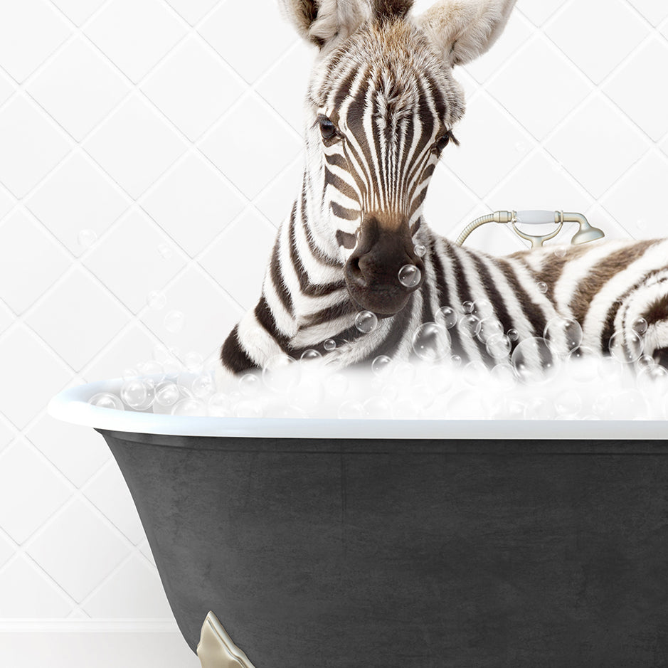 a baby zebra laying in a bath tub