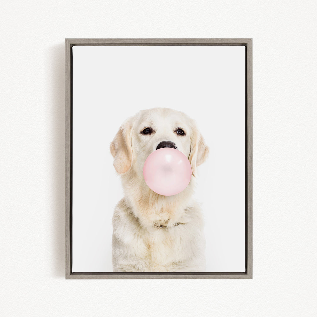 A white dog is blowing a pink bubblegum bubble with its mouth.