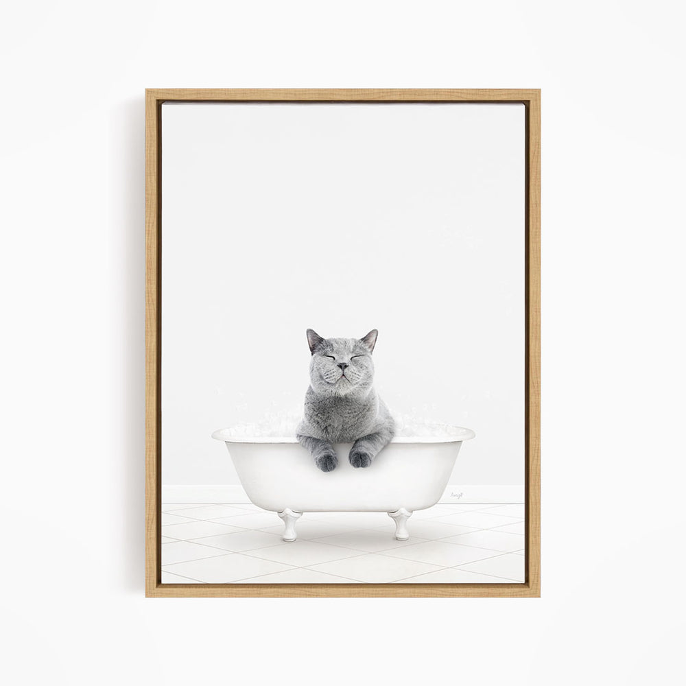 A gray cat sitting in a white bathtub filled with bubbles, looking content and relaxed.