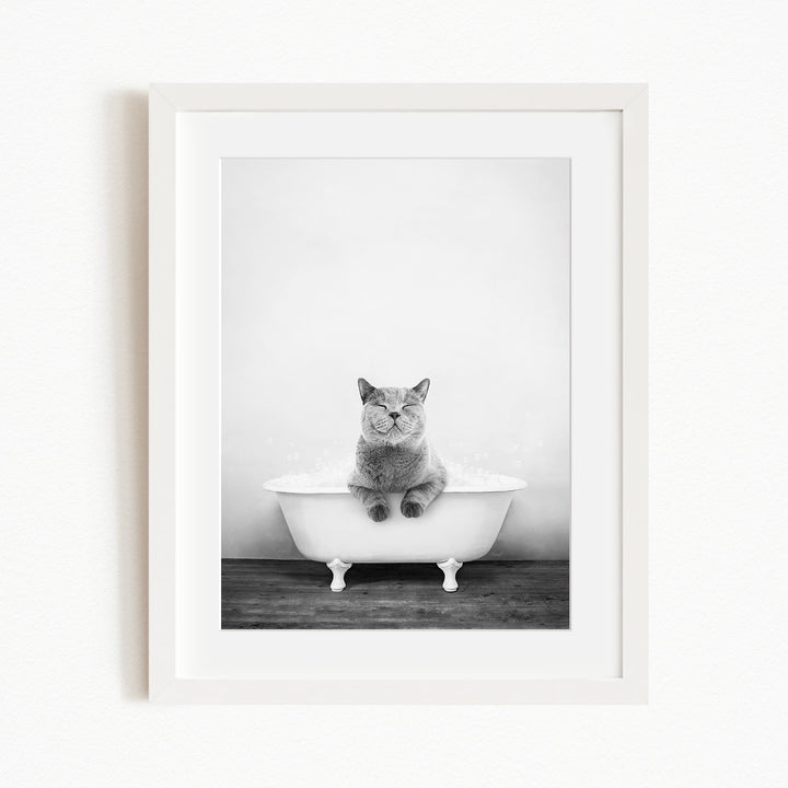 A gray cat sitting in a white bathtub, looking directly at the camera.