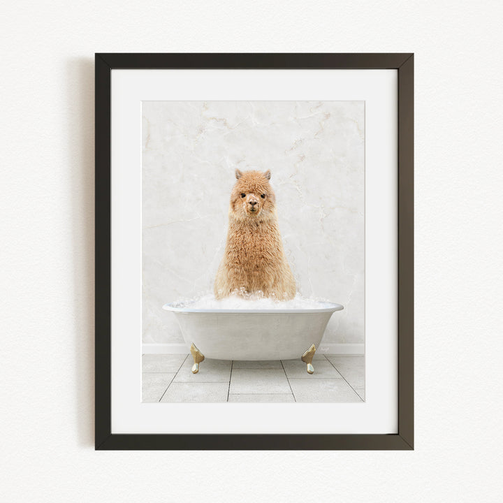 A fluffy brown dog sitting in a white bathtub filled with bubbles, looking directly at the camera.
