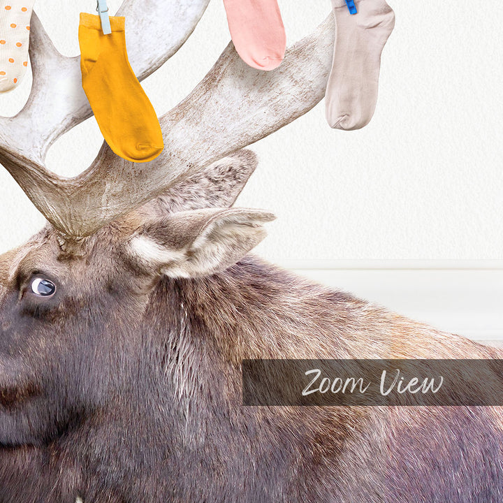 A close-up of a moose's head, with its large antlers and a pair of colorful socks hanging from them.