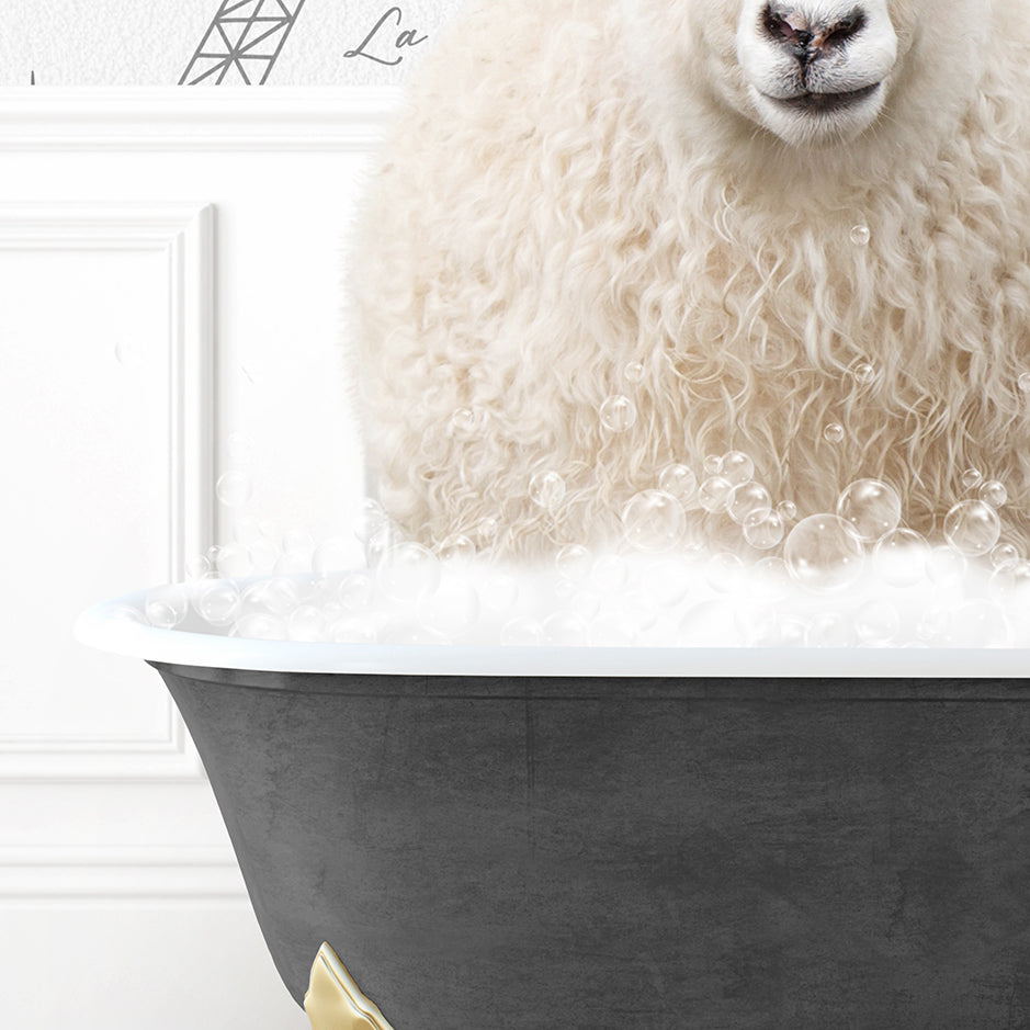 a sheep sitting in a bathtub full of bubbles