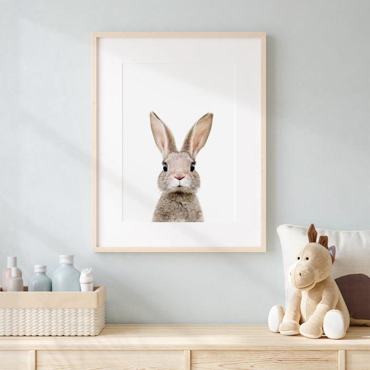 a framed picture of a rabbit in a room