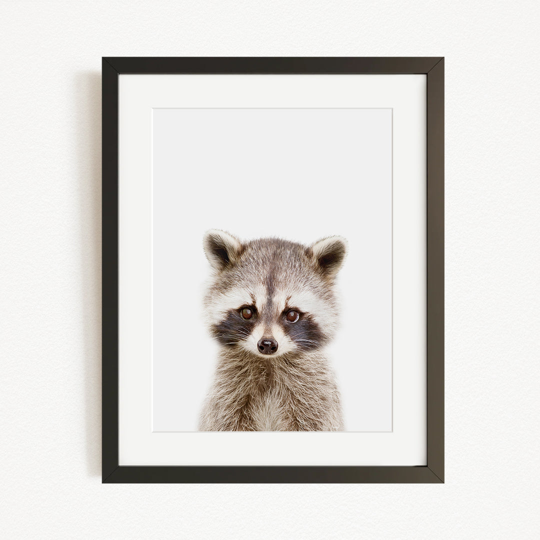 A raccoon with a curious expression is the focus of the framed artwork displayed on the wall.