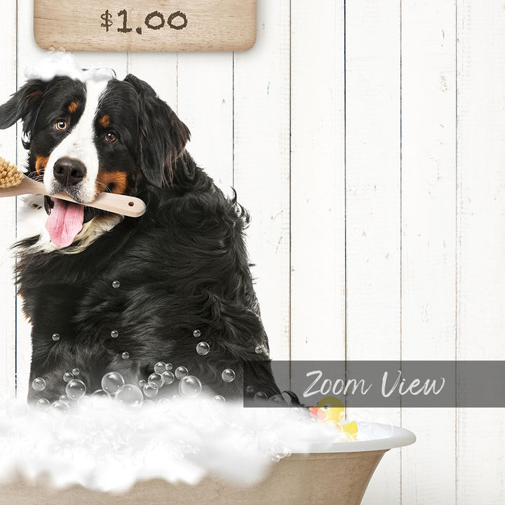 A black and white dog sitting in a bathtub, holding a toothbrush in its mouth, with a sign that says "$1.00" above it.
