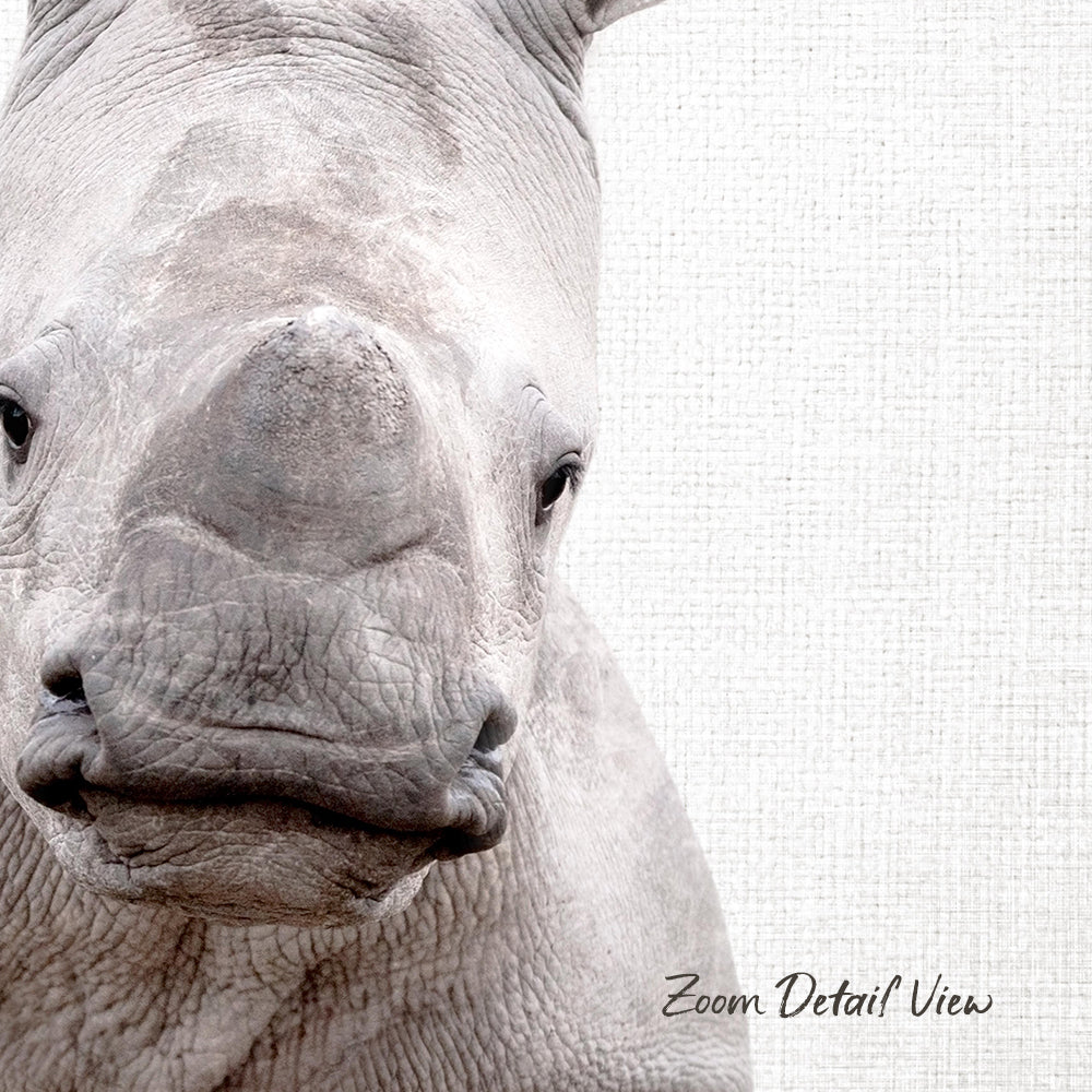 A close-up of a rhinoceros's face, with its distinctive horn and wrinkled skin visible.