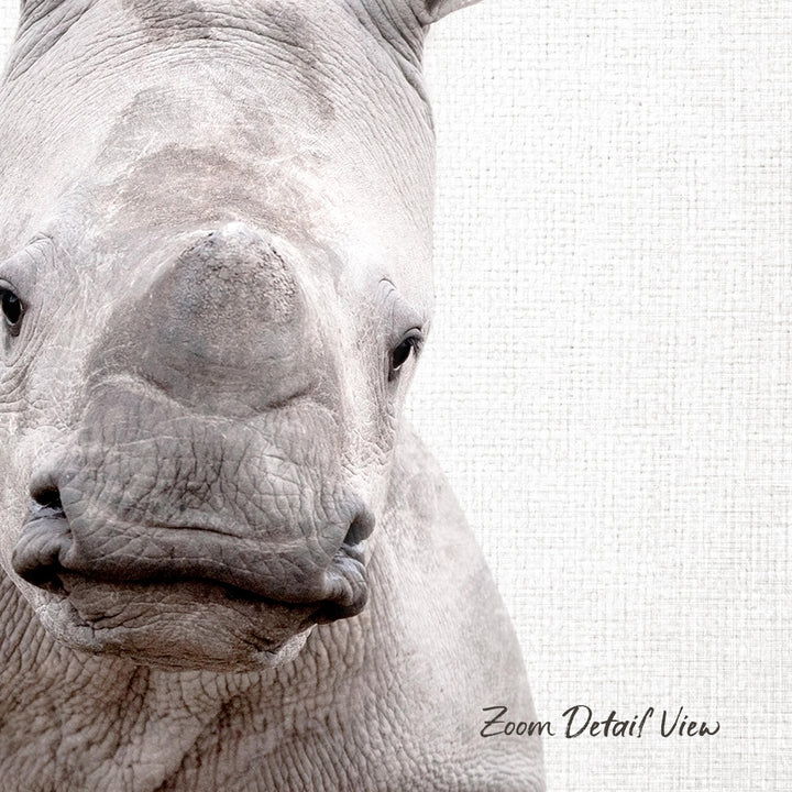 A close-up of a rhinoceros's face, with its distinctive horn and wrinkled skin visible.