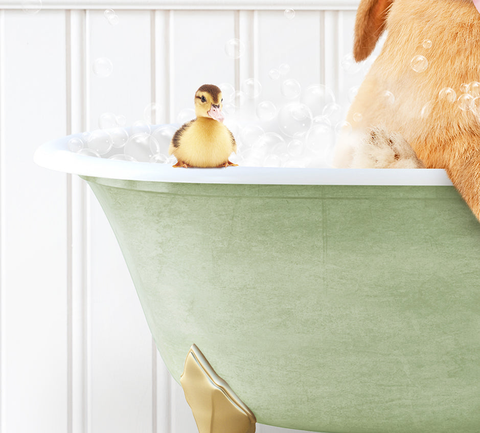 a dog is taking a bath with a rubber duck