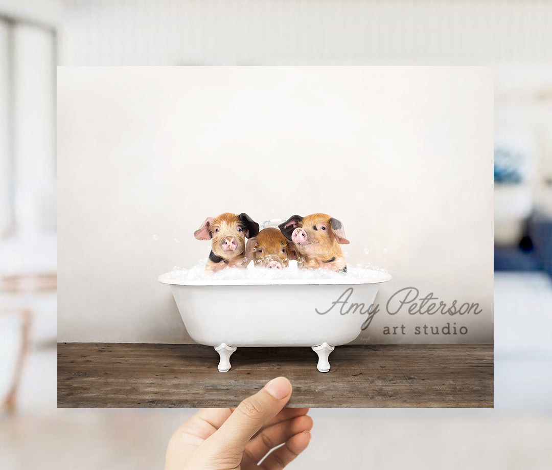 a person holding up a card with three dogs in a bathtub