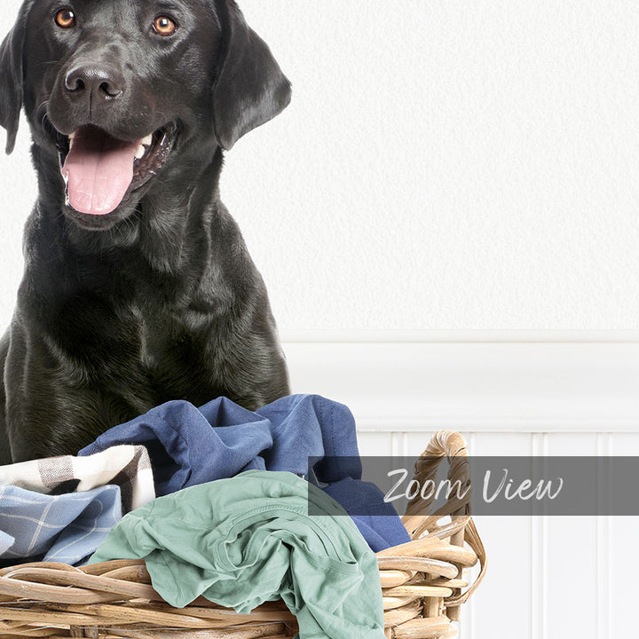 A black dog sitting in a wicker basket filled with clothes, with a white wall in the background.