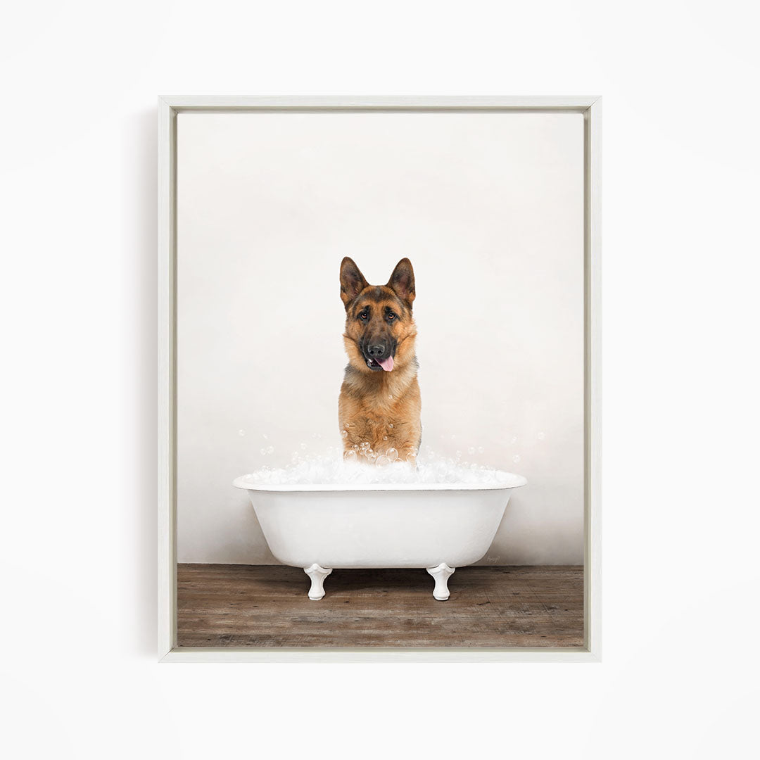 A German Shepherd dog standing in a white bathtub filled with water, with its tongue hanging out, creating a playful and humorous scene.