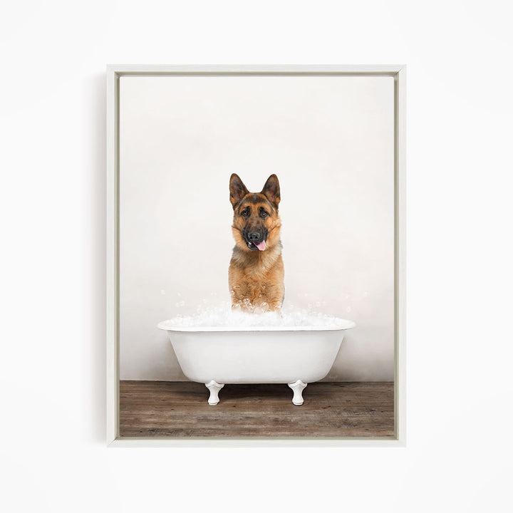 A German Shepherd dog standing in a white bathtub filled with water, with its tongue hanging out, creating a playful and humorous scene.