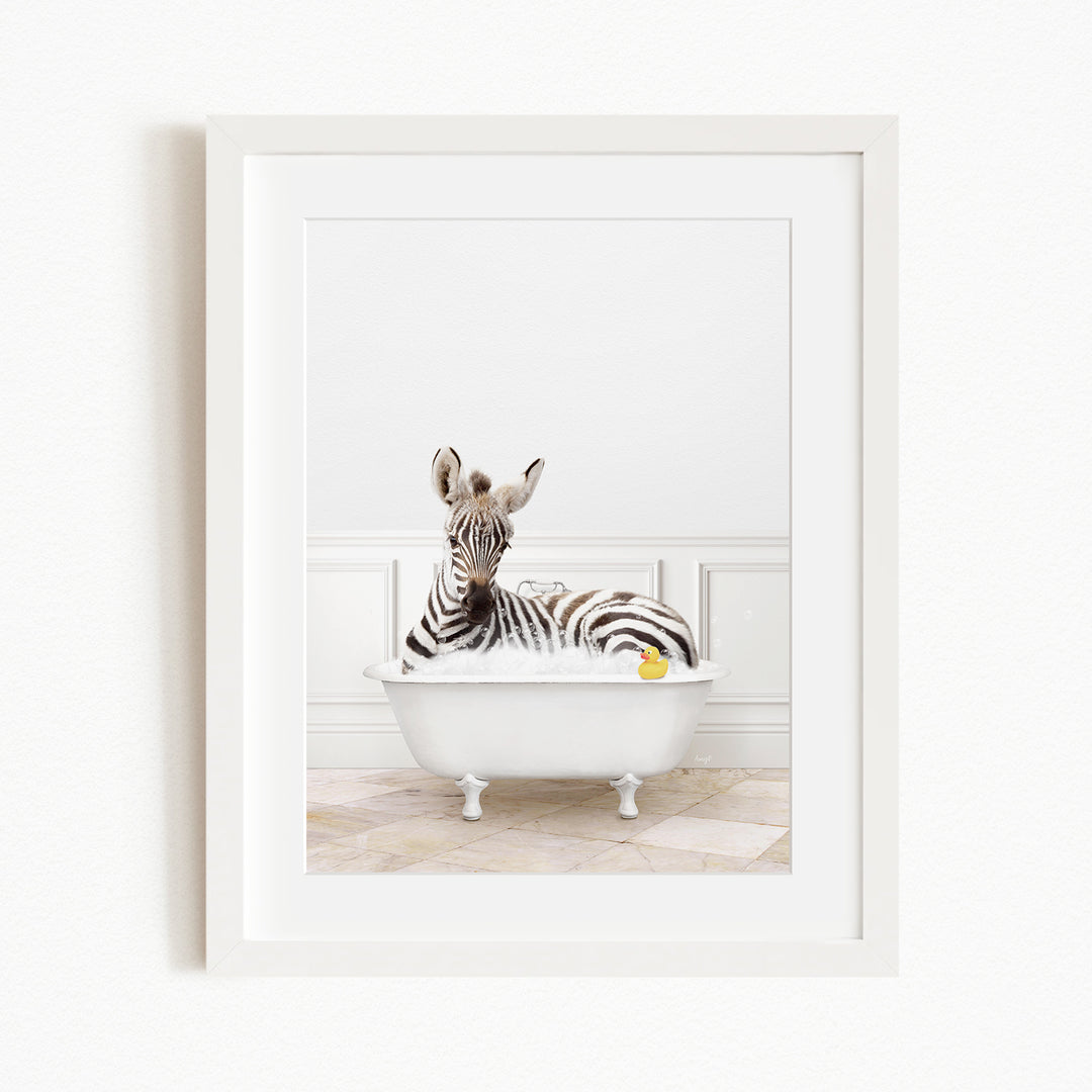 A zebra is sitting in a white bathtub filled with water, with a yellow rubber duck floating on the water.