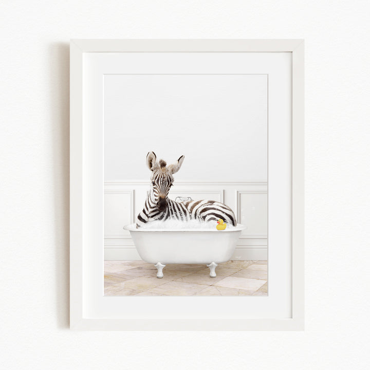 A zebra is sitting in a white bathtub filled with water, with a yellow rubber duck floating on the water.