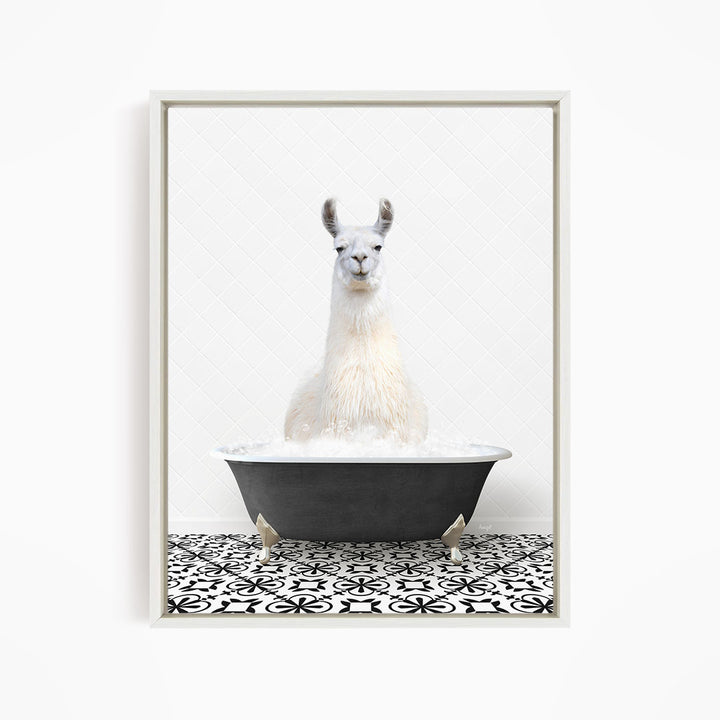 A white llama sitting in a black bathtub filled with water, surrounded by a black and white patterned floor.
