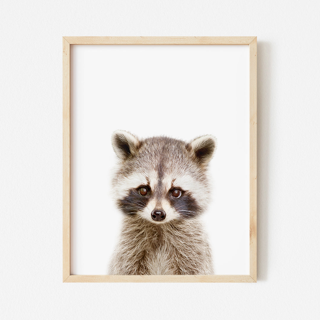 a picture of a raccoon in a wooden frame