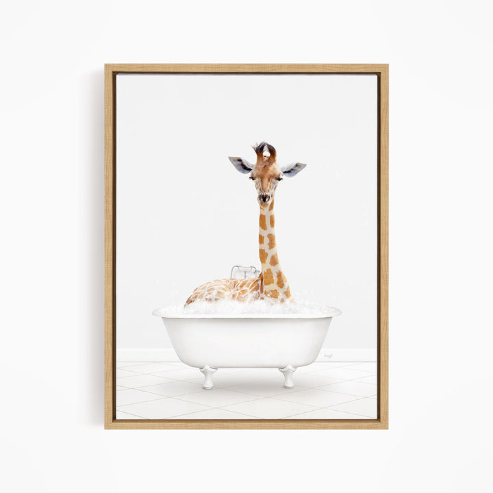 A giraffe sitting in a white bathtub filled with bubbles, looking directly at the camera.