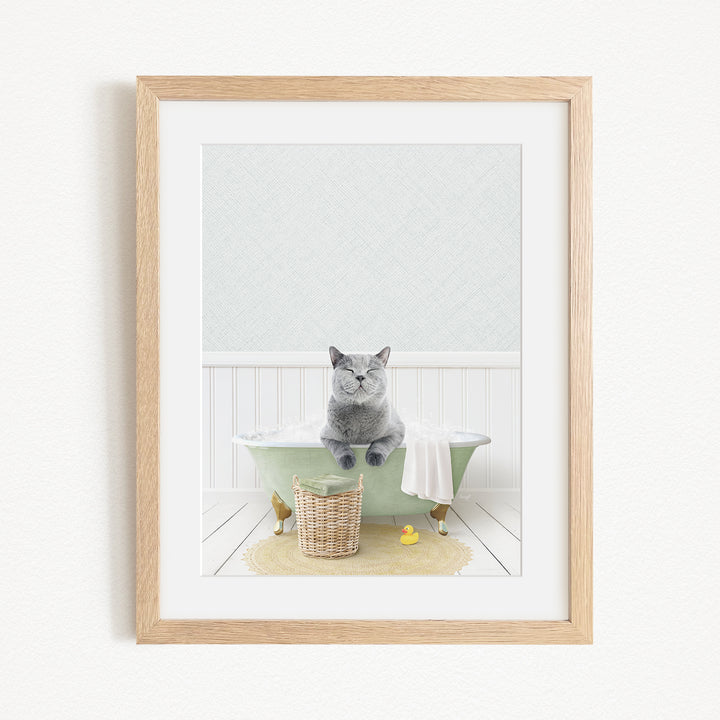 A gray cat sitting on the edge of a green bathtub, with a basket of rubber ducks nearby.