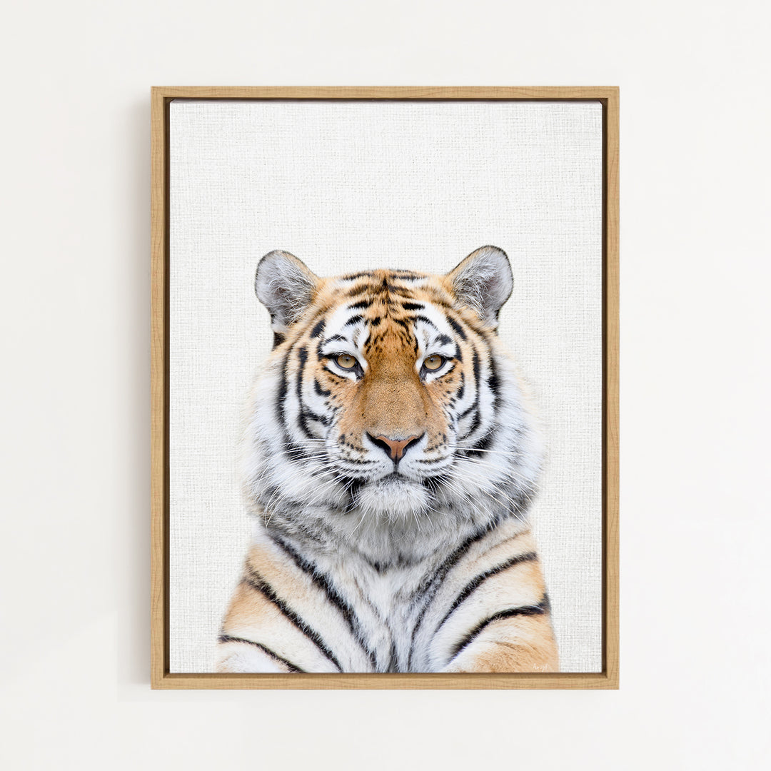 A close-up portrait of a tiger, with its distinctive striped fur and piercing eyes, is the central focus of the image.