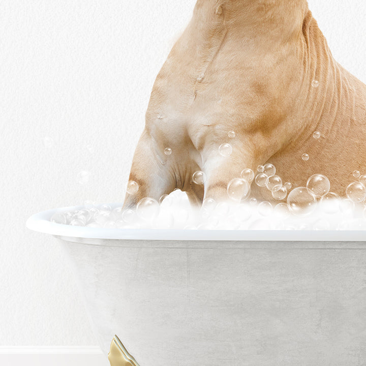 a dog sitting in a bathtub full of bubbles