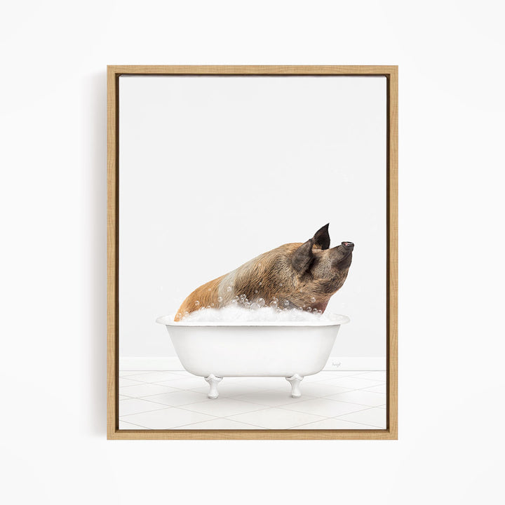 A brown and white pig sitting in a white bathtub filled with bubbles, looking up at the camera.