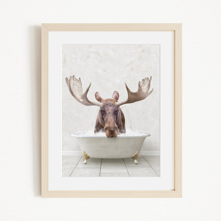 A moose with large antlers is sitting in a white bathtub, appearing to enjoy the bath.