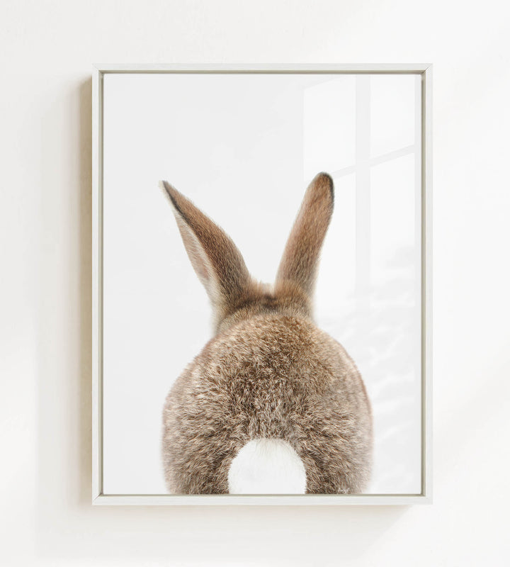 A picture of a rabbit's back, showing its fluffy, brown fur and white tail.