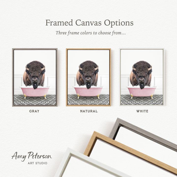 three framed canvas options, each featuring a different color: gray, natural, and white. The text above the images reads " Framed Canvas Options" and "Three frame colors to choose from...". The bottom of the image includes the text " Amy Peterson ART STUDIO".