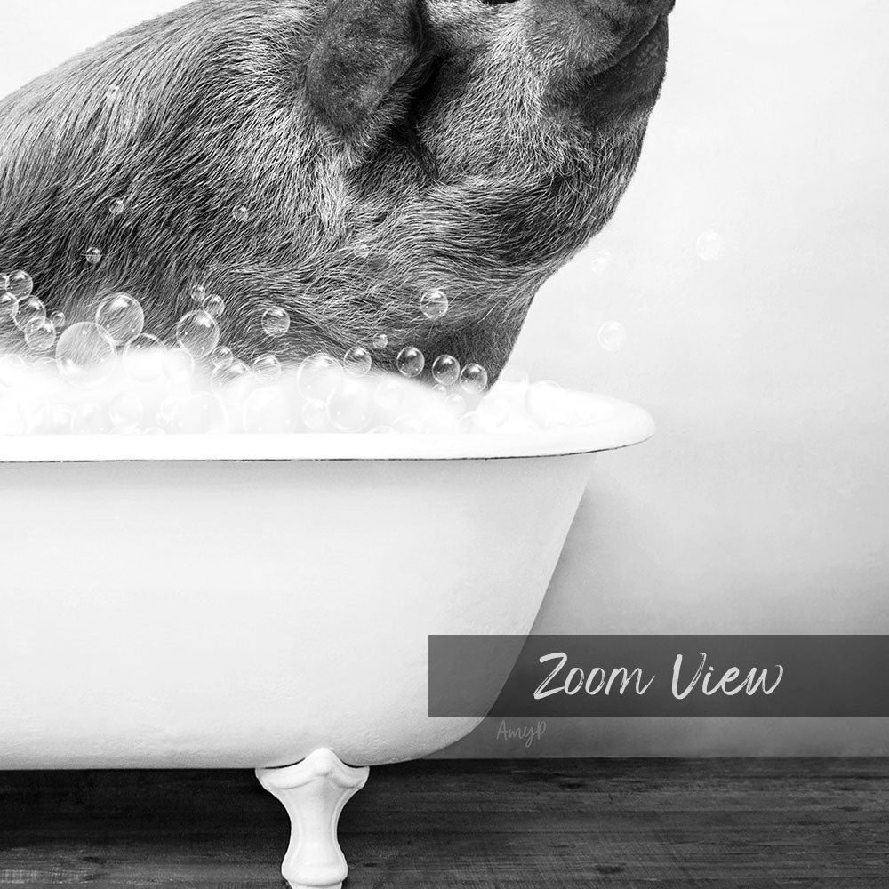 A pig sitting in a bathtub filled with bubbles, with the text "Zoom View" overlaid on the image.