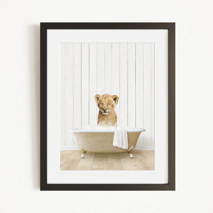 A young lion cub sitting in a bathtub filled with water, looking directly at the camera.
