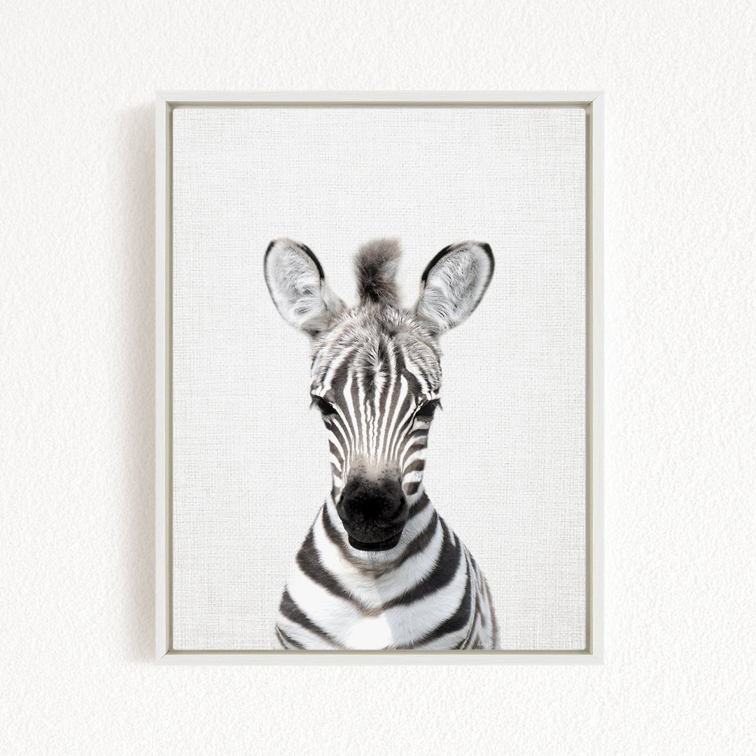 A framed photograph of a zebra's face, with its distinctive black and white stripes and large ears, is displayed on a white wall.