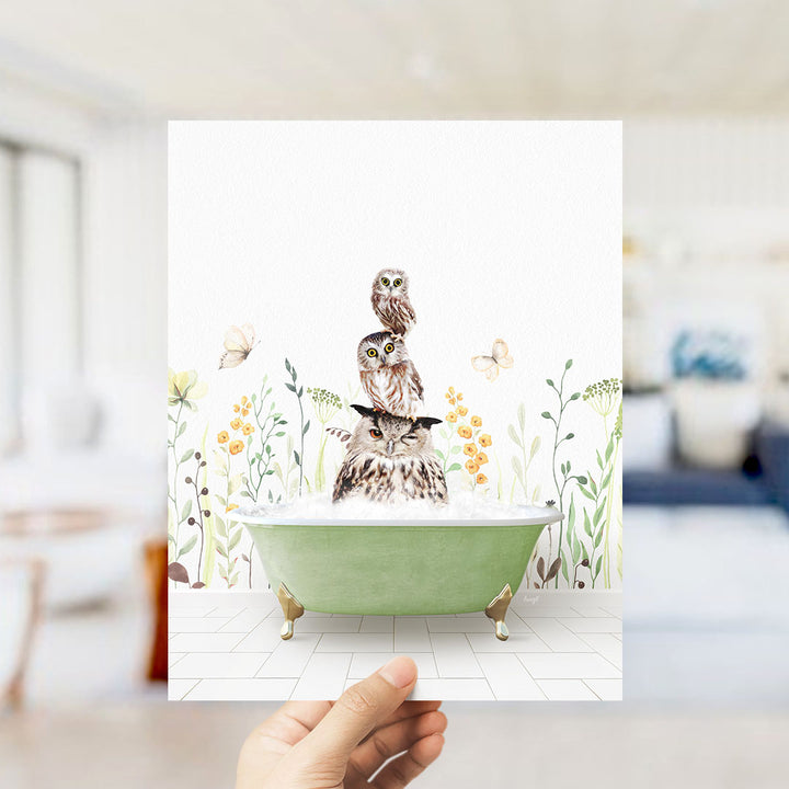 A hand holds up a framed image depicting a green bathtub filled with water, surrounded by a floral design and three owls.