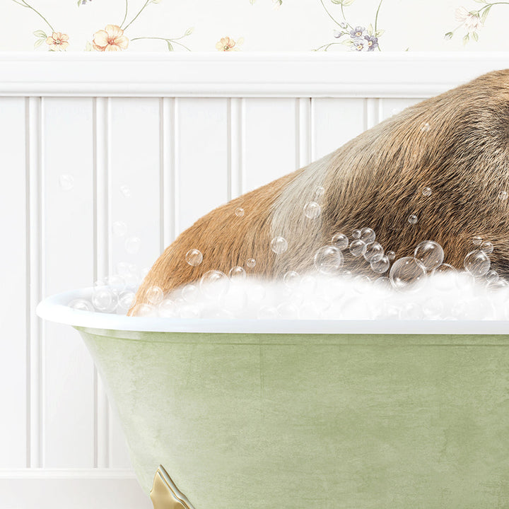 a dog taking a bath in a green bathtub