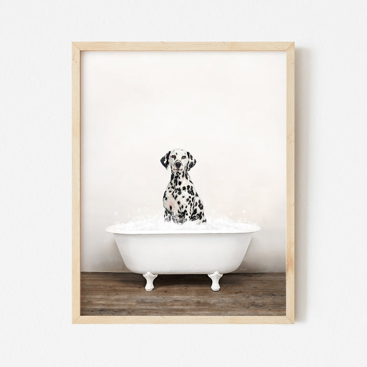 a black and white dalmatian dog sitting in a bathtub