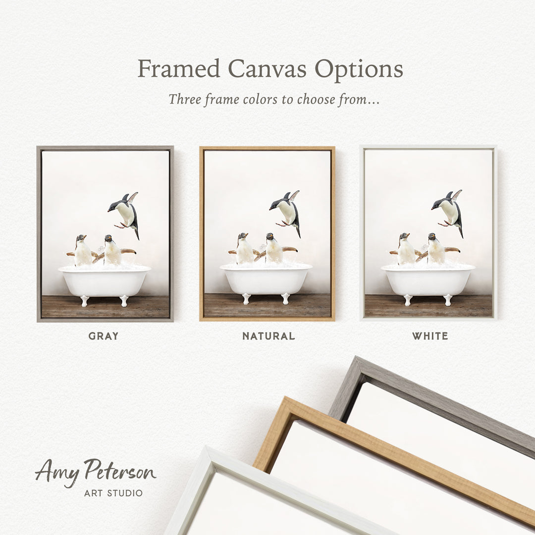 three framed canvas options, each featuring a different color: gray, natural, and white. The text above the images reads " Framed Canvas Options" and "Three frame colors to choose from...". The text below the images reads "Grays", "Naturals", and "Whites". The artist's name, Amy Peterson, is also mentioned at the bottom of the image.