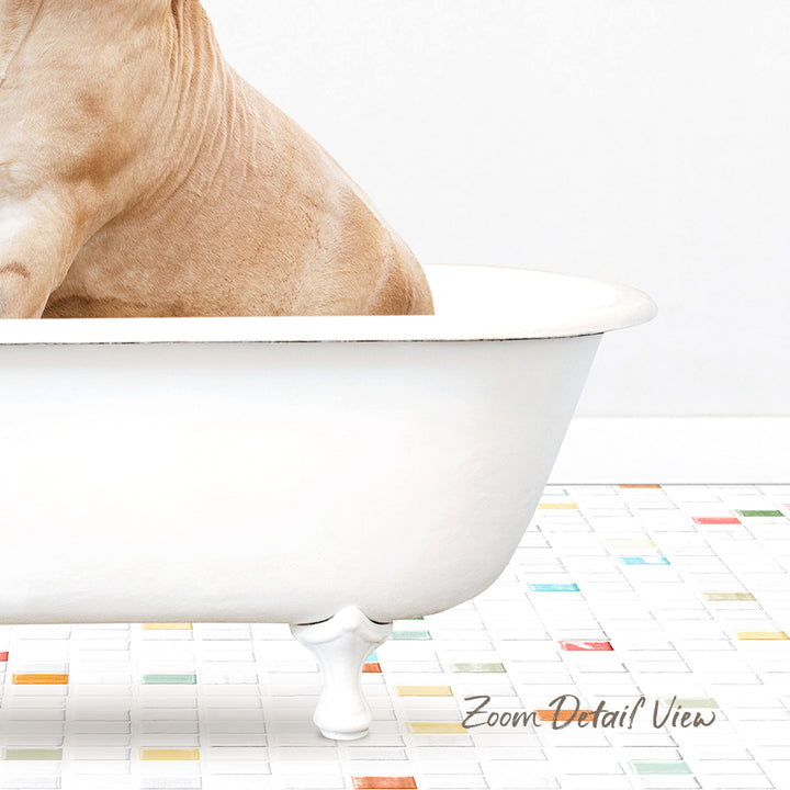 A dog is sitting in a white bathtub, with a colorful tiled floor in the background.