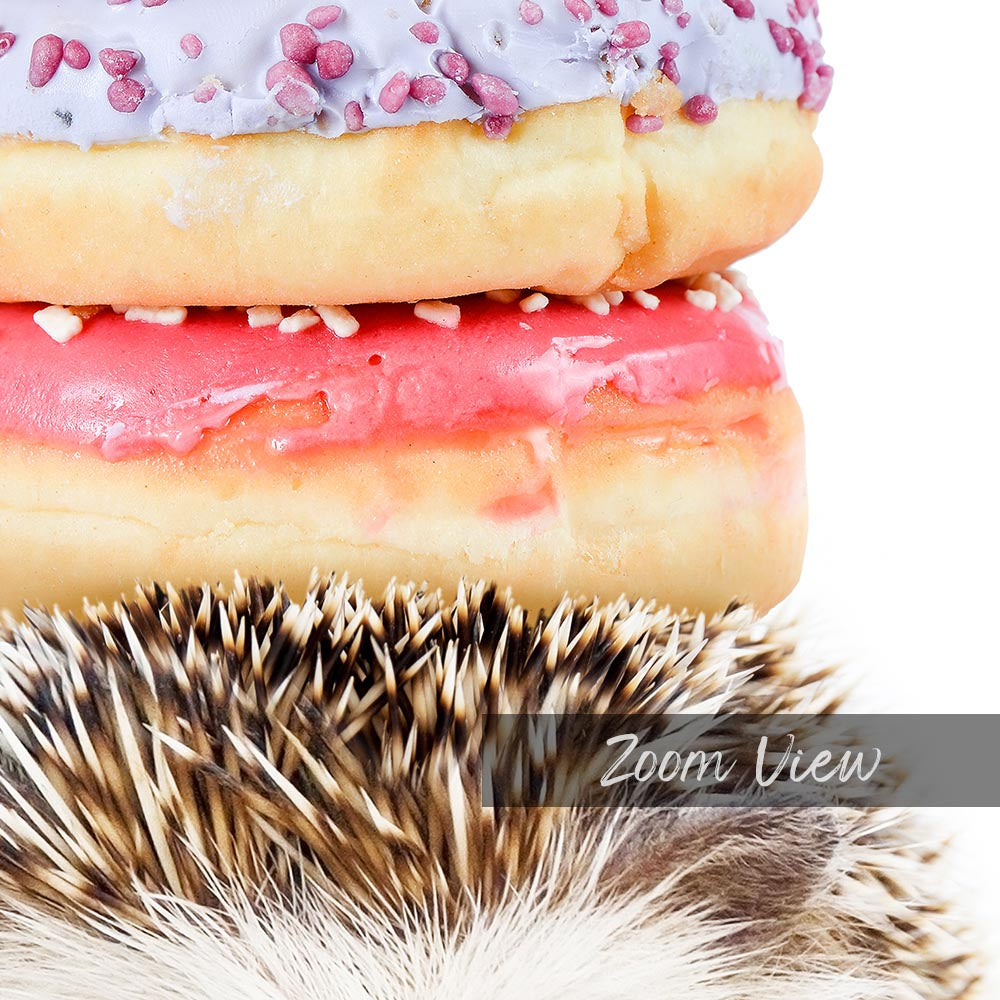 a close up of two doughnuts on top of a hedgehog