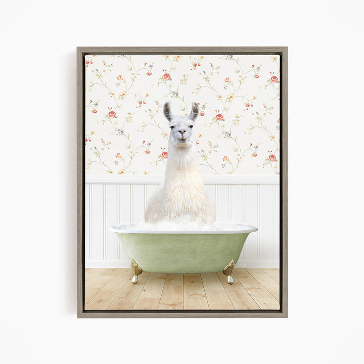 A white llama sitting in a green bathtub filled with water, with a floral wallpaper in the background.