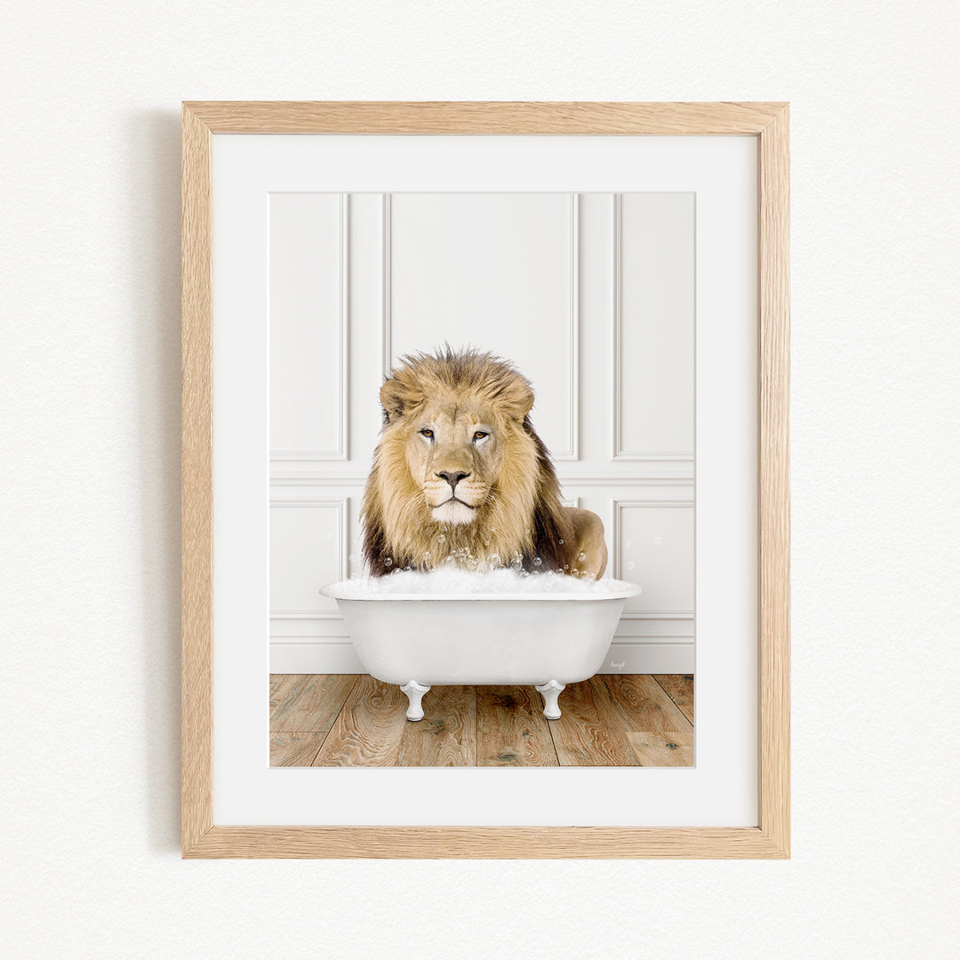 A lion sitting in a white bathtub filled with water, looking directly at the camera.