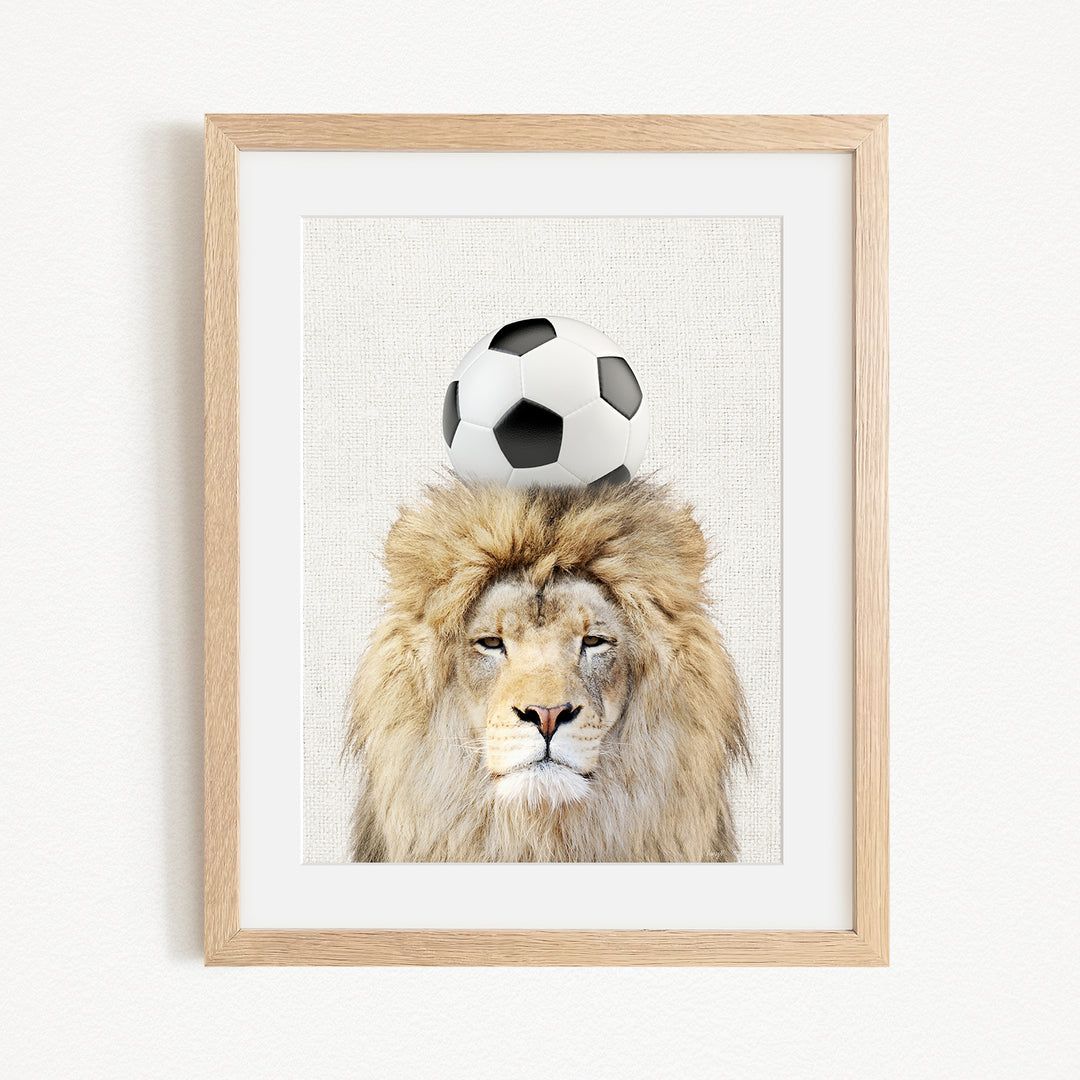 A framed image of a lion with a soccer ball on its head.