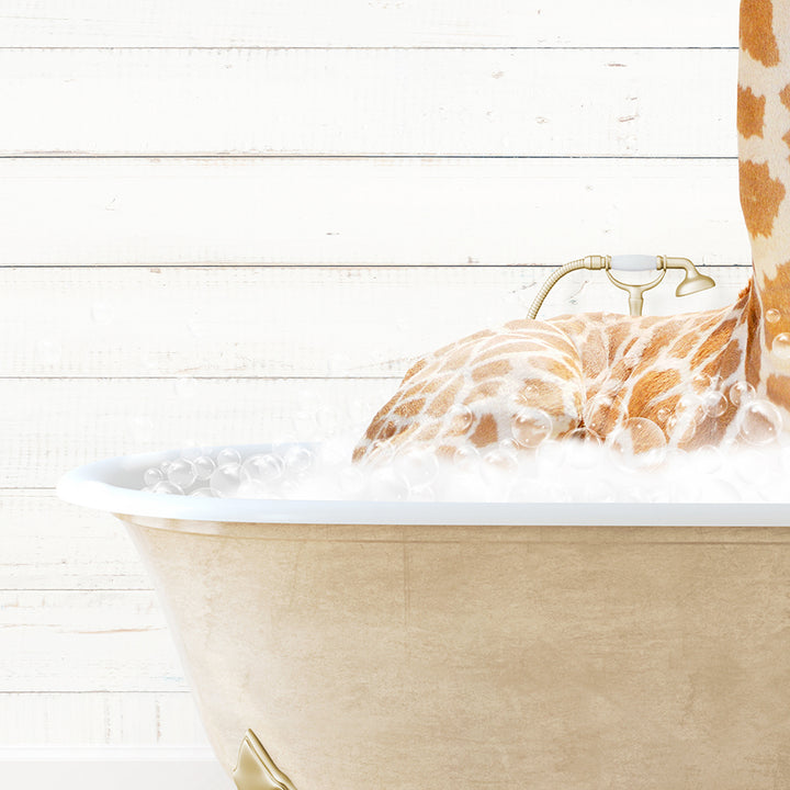 a giraffe sticking its head out of a bathtub