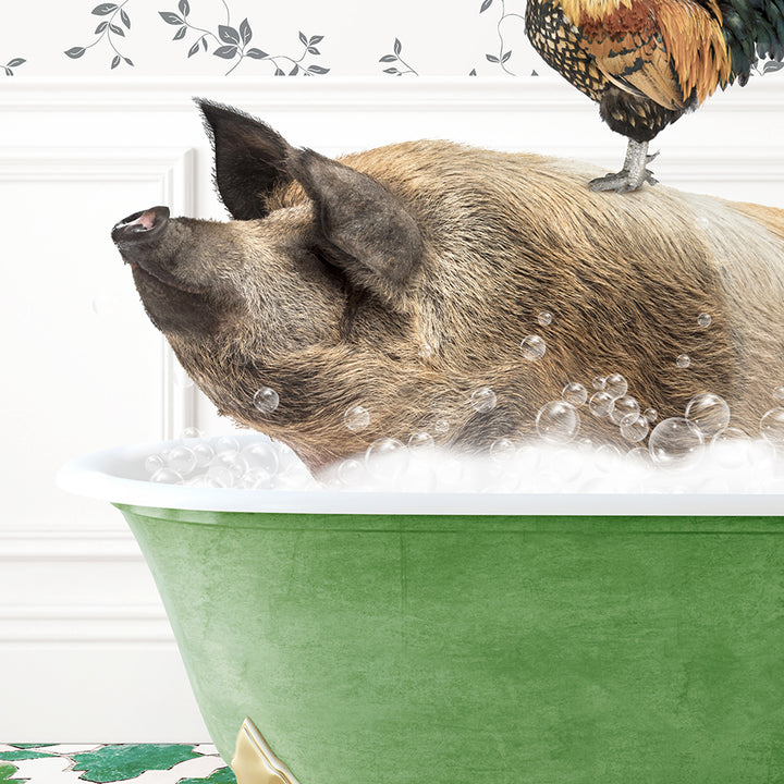 a pig in a bathtub with a rooster on top of it