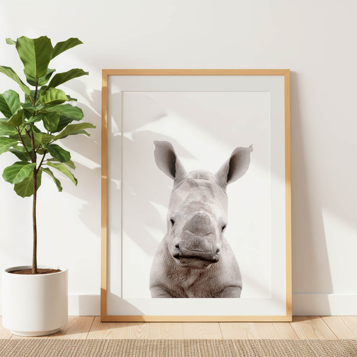 a framed photograph of a rhinoceros, with a potted plant to the left of the frame.